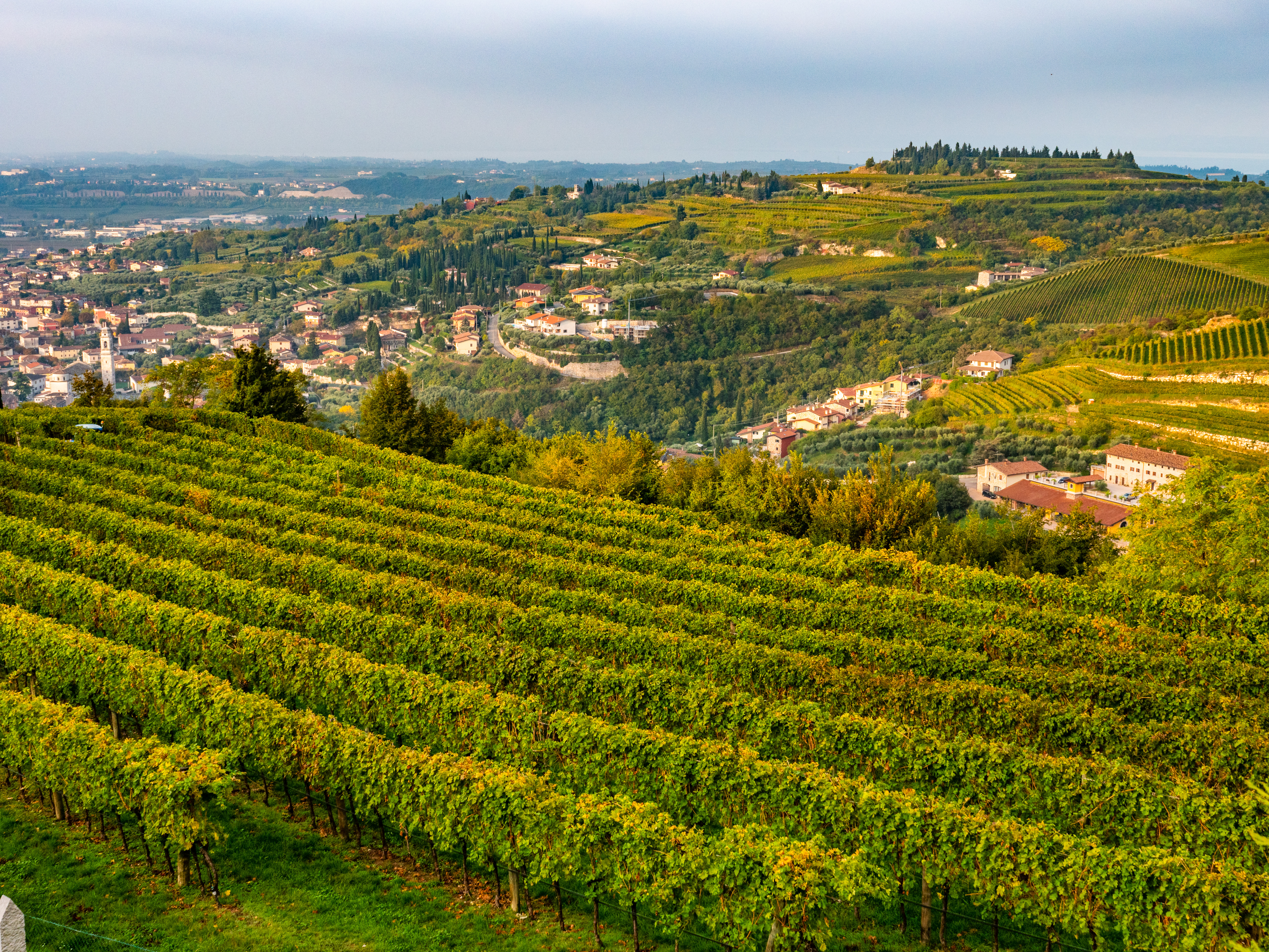 Regione del Veneto - Promozione Turistica - Valpolicella